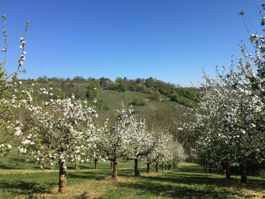 Ferienwohnung Weinbergsblick Optimale Stadtnaehe Ochsenfurt Exterior foto