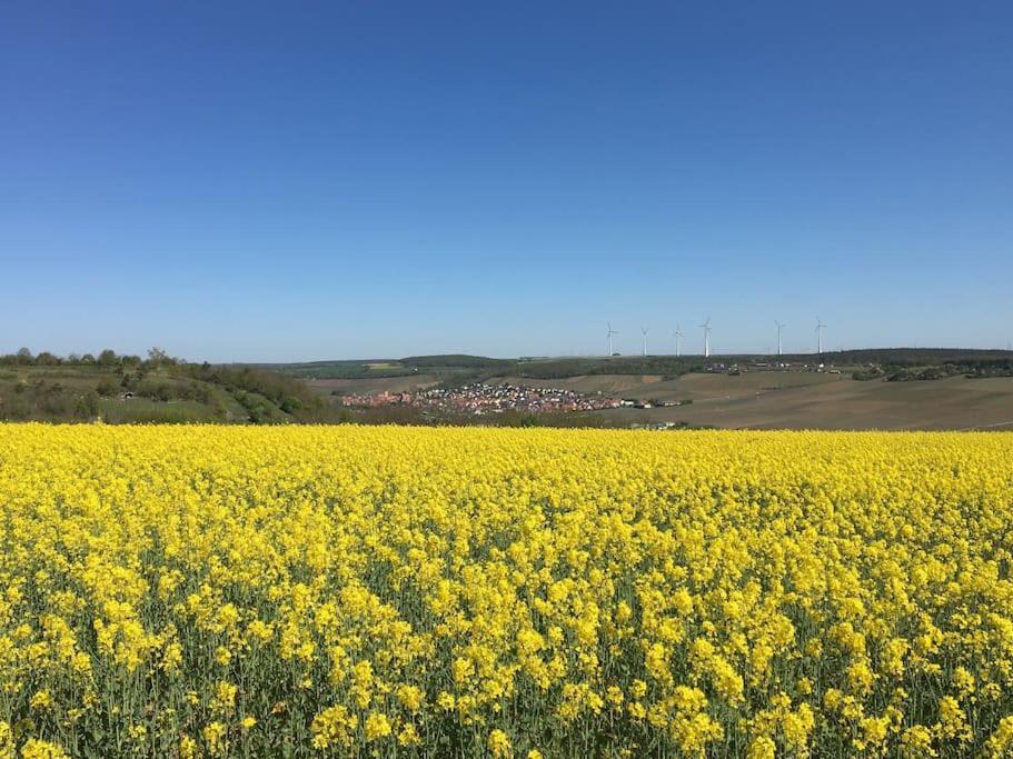 Ferienwohnung Weinbergsblick Optimale Stadtnaehe Ochsenfurt Exterior foto