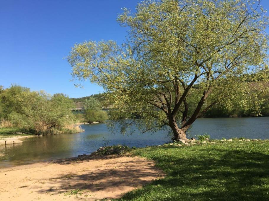 Ferienwohnung Weinbergsblick Optimale Stadtnaehe Ochsenfurt Exterior foto